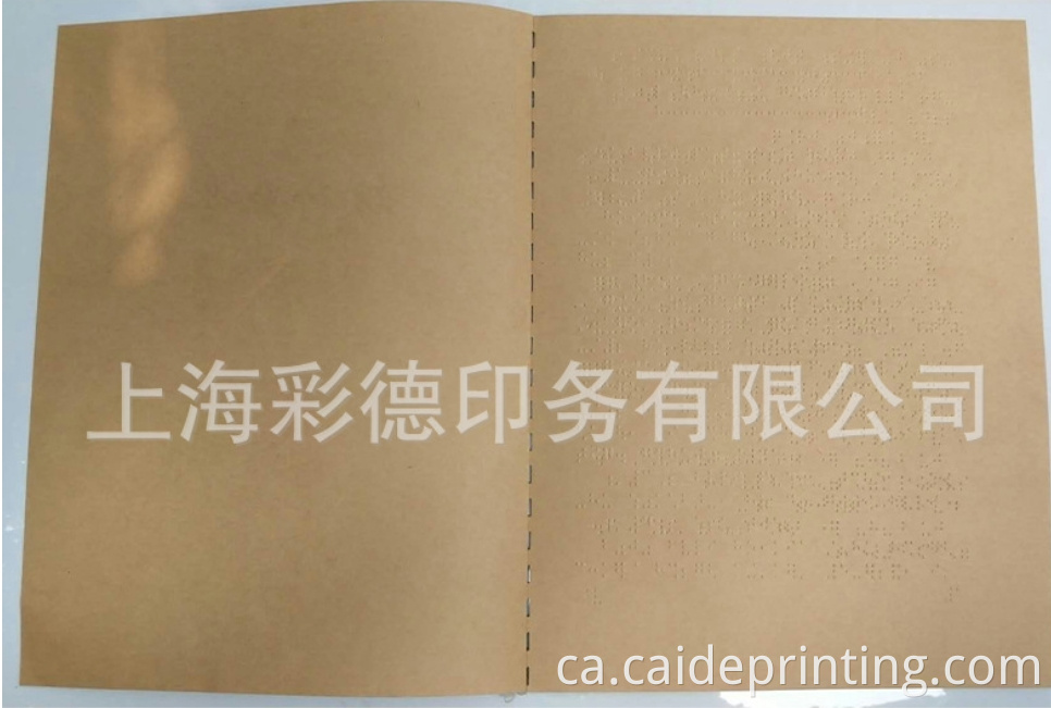 braille embosser printer